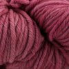 Damask Rose